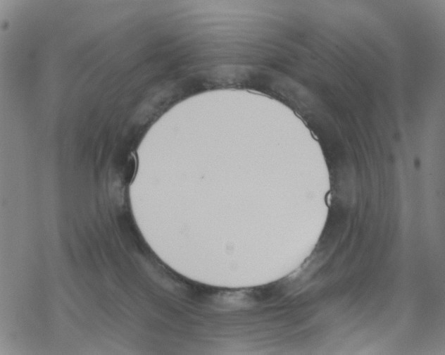 X0000067950086200605112136