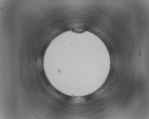 X0000067950087200605112136