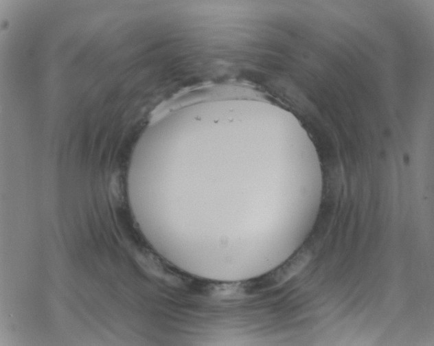 X0000067950088200605112136