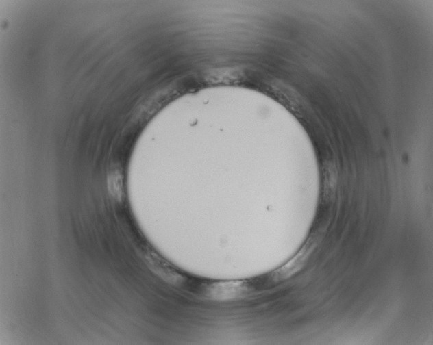 X0000067950090200605112136