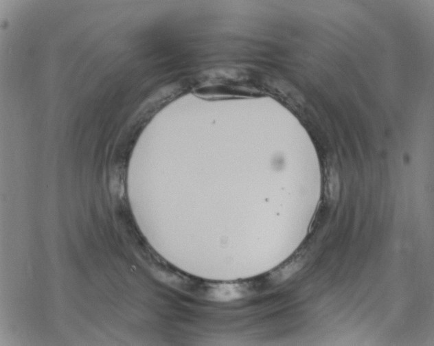 X0000067950091200605112136