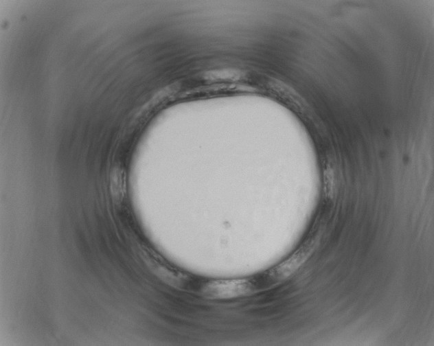 X0000067950093200605112136