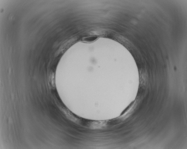 X0000067950094200605112136