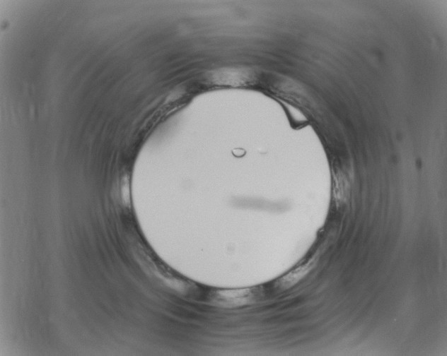 X0000067950095200605112136