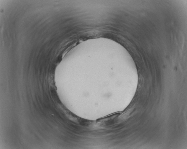 X0000067950096200605112136