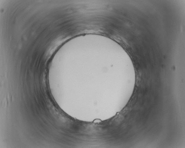 X0000067950098200605112136