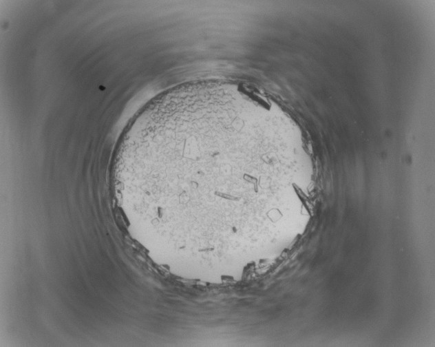 X0000067950099200605112136