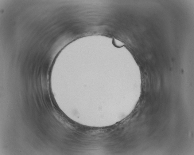 X0000067950100200605112136