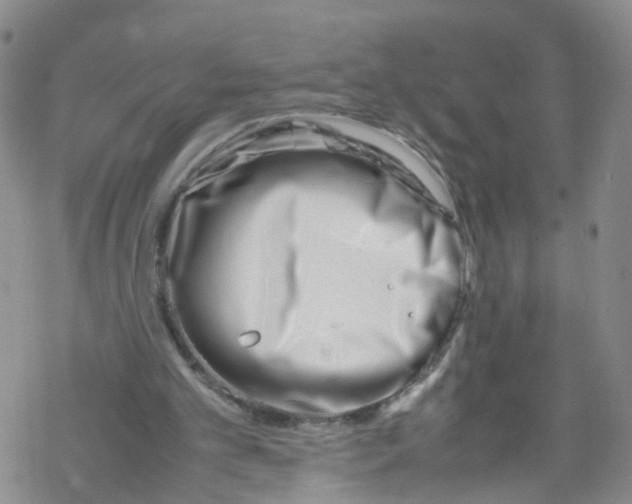 X0000067950101200605112135