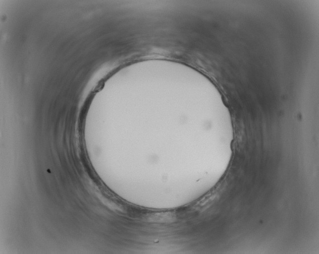 X0000067950102200605112135