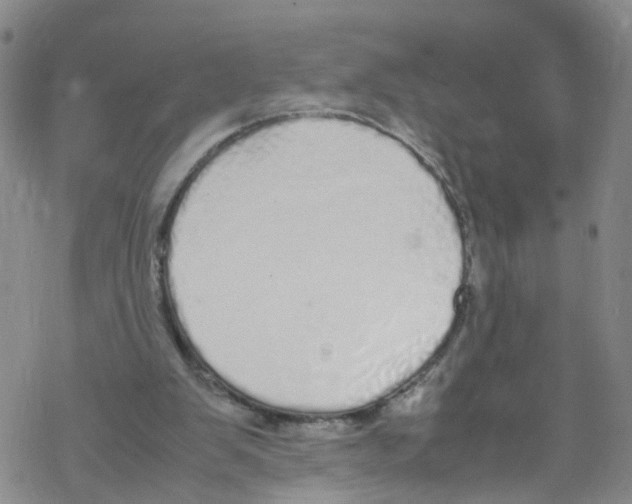 X0000067950103200605112135