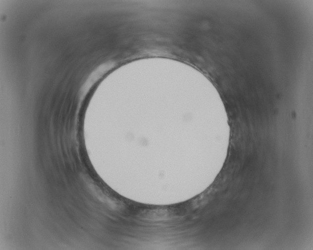 X0000067950104200605112135