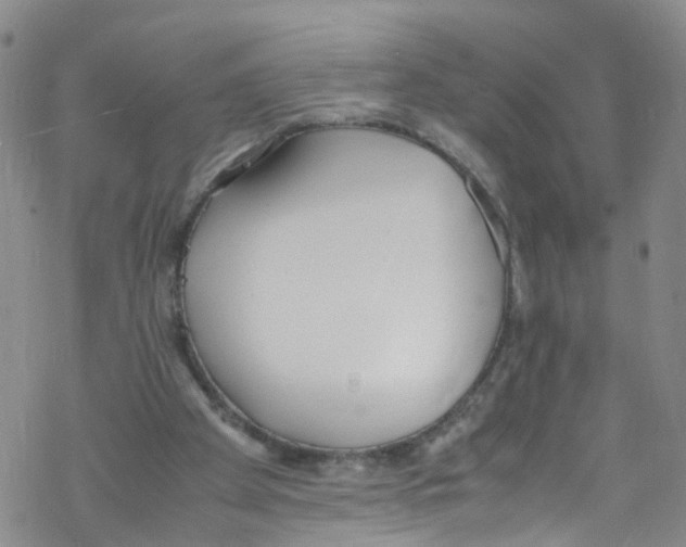 X0000067950105200605112135