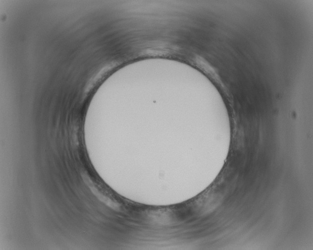 X0000067950106200605112135