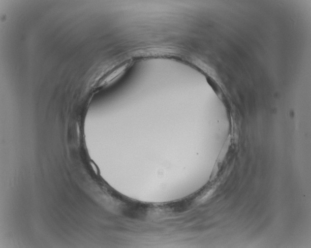 X0000067950109200605112135