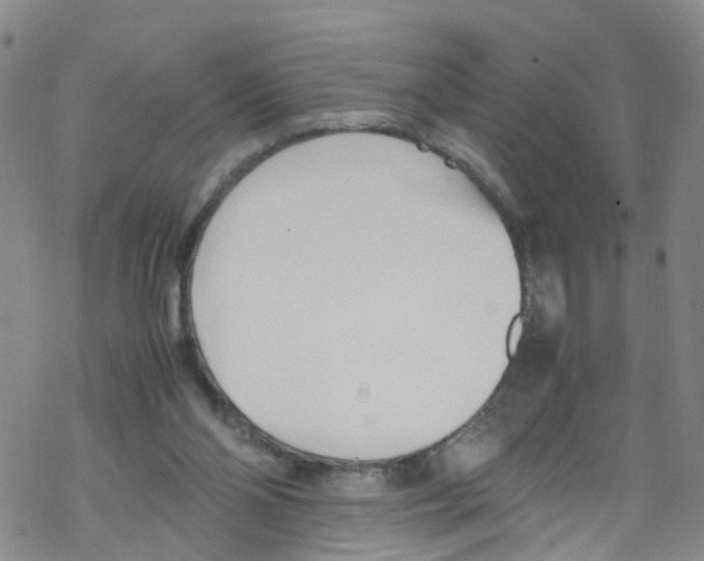 X0000067950110200605112135