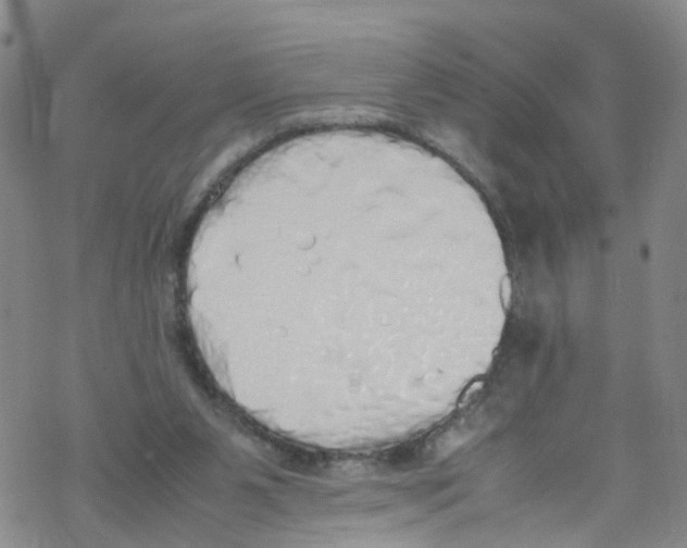 X0000067950111200605112135