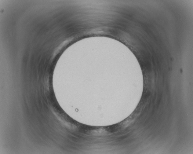 X0000067950112200605112135