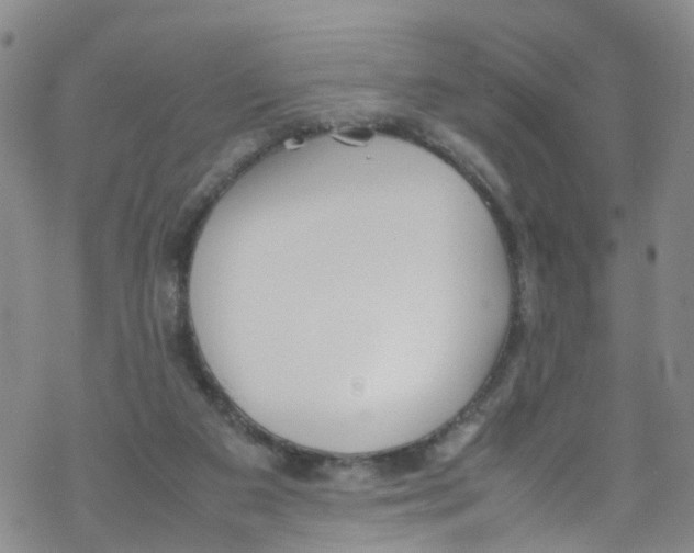 X0000067950113200605112135