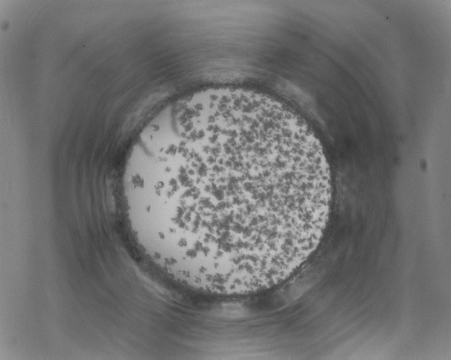 X0000067950114200605112135