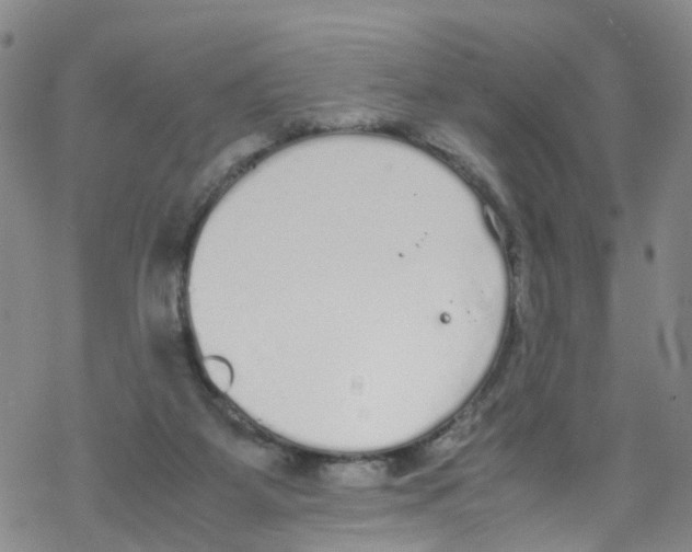 X0000067950115200605112135