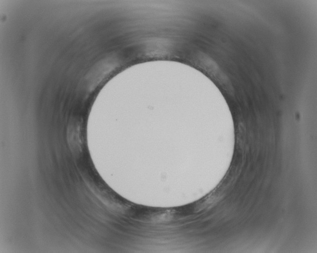 X0000067950116200605112135