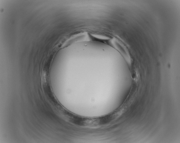 X0000067950117200605112135