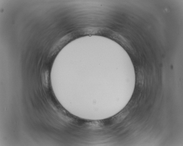 X0000067950118200605112135