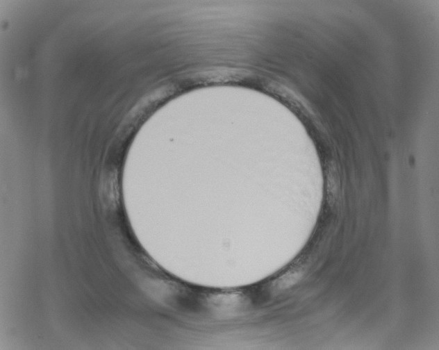 X0000067950119200605112135