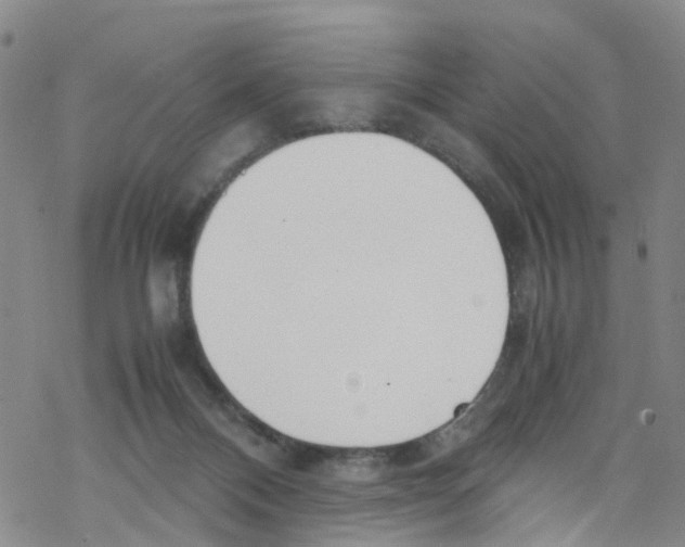 X0000067950120200605112135