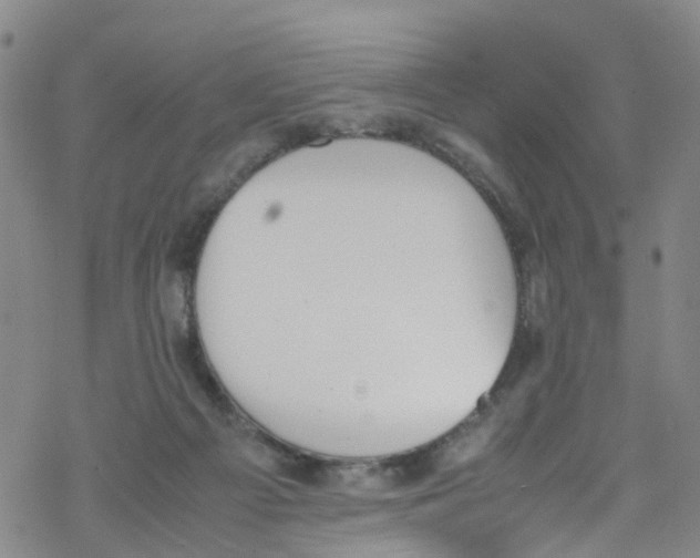 X0000067950121200605112135