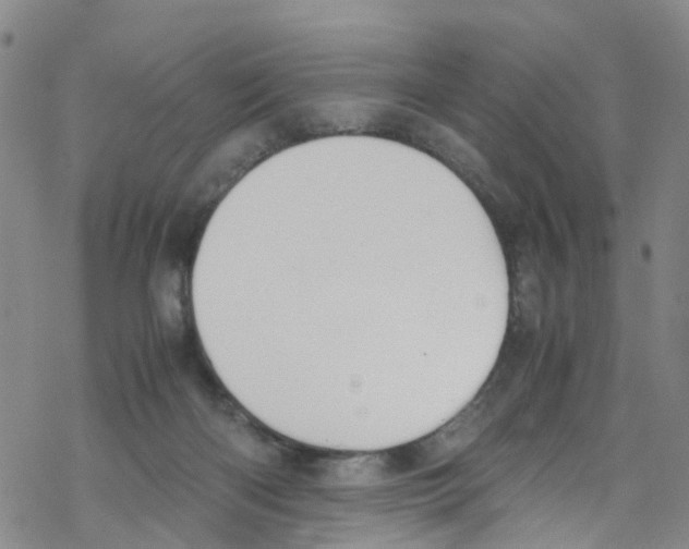 X0000067950122200605112135