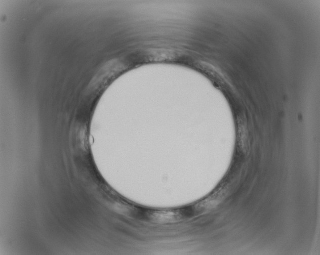 X0000067950123200605112135