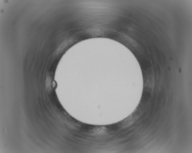 X0000067950124200605112135