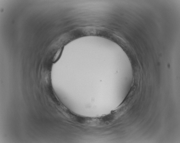 X0000067950125200605112135