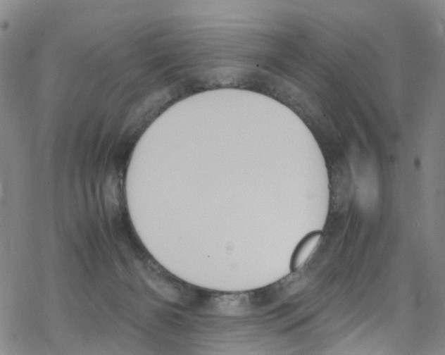 X0000067950126200605112135