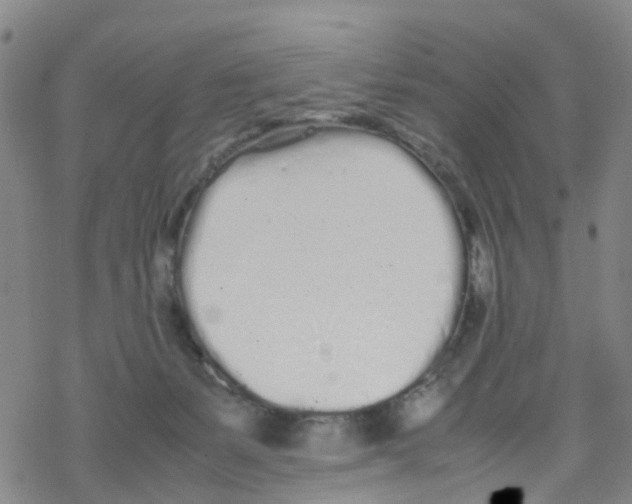 X0000067950127200605112135