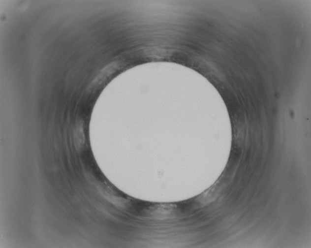 X0000067950128200605112135