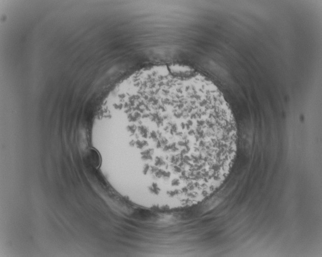 X0000067950130200605112135