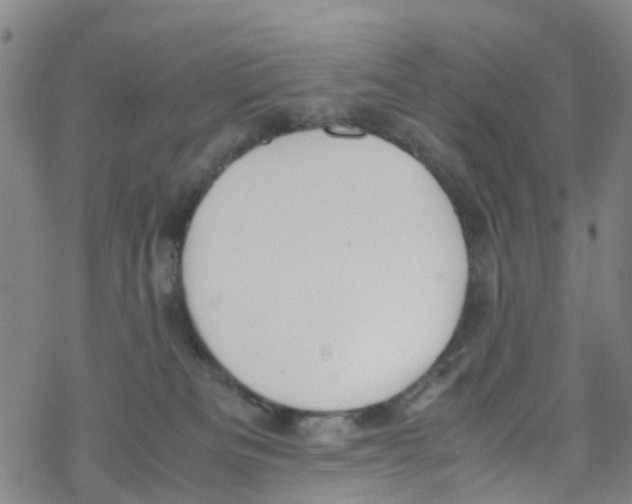 X0000067950133200605112135