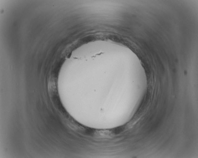 X0000067950137200605112135