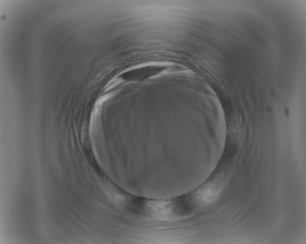 X0000067950139200605112135