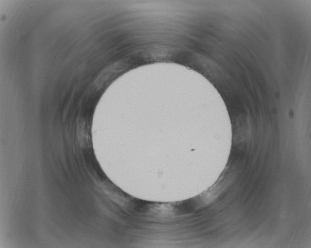 X0000067950140200605112135