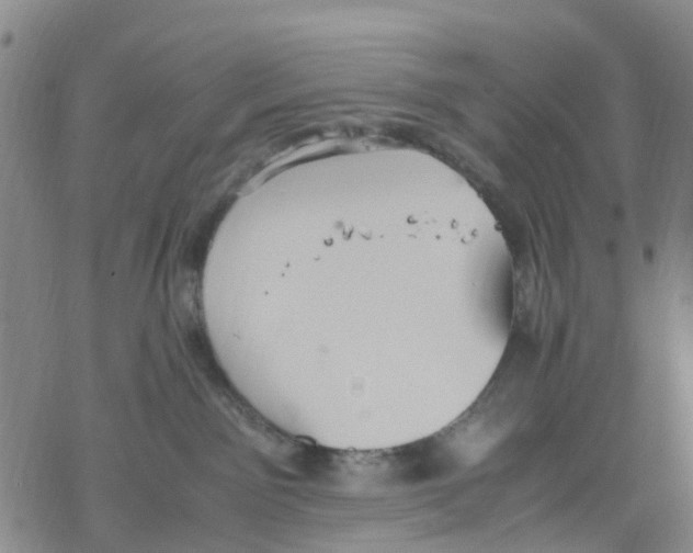 X0000067950141200605112135