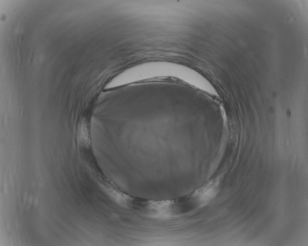 X0000067950143200605112135