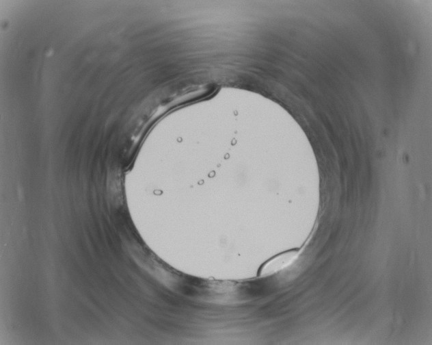 X0000067950144200605112135