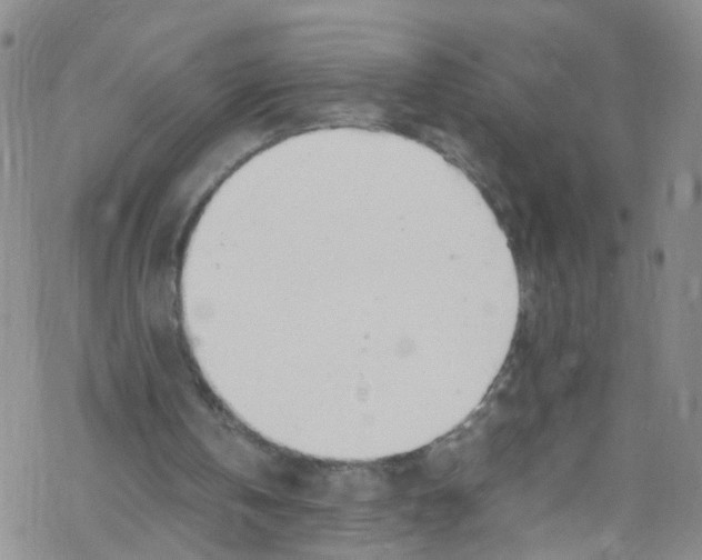 X0000067950146200605112134