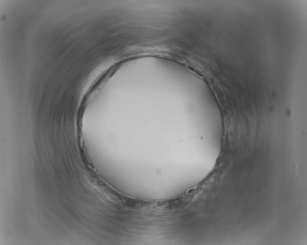 X0000067950148200605112134