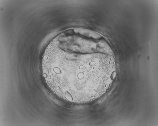 X0000067950149200605112134