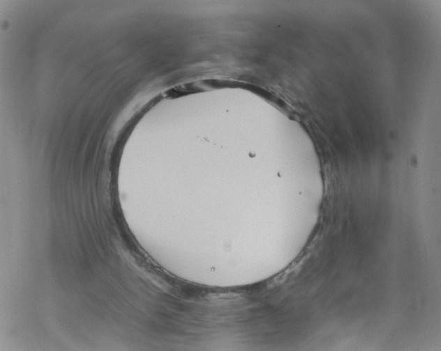 X0000067950150200605112134